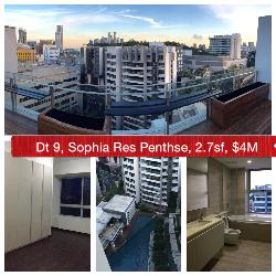 Sophia Residence (D9), Condominium #56080242